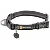 Bild von Ruffwear Web Reaction  Hundehalsband 36-43 cm
