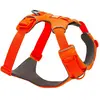 Bild von Ruffwear Front Range® Hundegeschirr