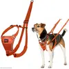 Bild von Company Of Animals Halti No Pull Hundegeschirr