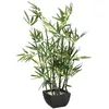 Bild von Atmosphera Jj076 70 Cm Deco Green Collection Künstliche Pflanze
