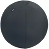 Bild von Leitz Active Anti-rutsch-sitzball 55 Cm