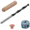 Bild von Wolfcraft 2916000 Holzstopfen 6 Mm 31 Stücke