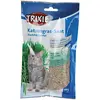 Bild von Trixie Katzengras-und Gerstensamen