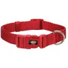 Bild von Trixie New Premium 10 Mm Hundehalsband