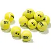 Bild von Karlie Tennisball-set Für Hunde 12 Einheiten