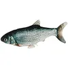 Bild von Kerbl Fischspielzeug 28x11 Cm