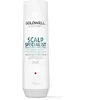 Bild von Goldwell Scalp Specialist Anti-dandruff 250ml Shampoo One Size