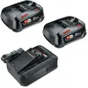 Bild von Bosch Diy 18v 2 Bat 2.5ah Batterie