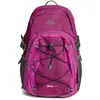 Bild von Trespass Albus 30l Rucksack One Size