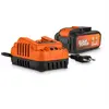 Bild von Powerplus 2x20v 5.0/2.5ah Ladegerät Und Batterie