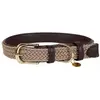Bild von Kentucky Nylon Plaited Hundehalsband 28 cm