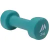 Bild von Martes Dynamos 2 Kg Hantel One Size