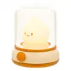 Bild von Mary's Lantern Dekoratives Licht