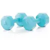 Bild von Gymstick Active Vinyl S 2 X 5kg Hantel 5 kg