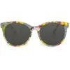 Bild von Skull Rider Loto Damen-sonnenbrille One Size