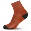 Bild von Lorpen Ptlcs Pro Trek Coolmax Light Kurze Socken EU 39-42