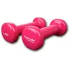 Bild von Tunturi Dumme Schallplatte 0.5kg 2 Einheiten 0.5 kg