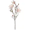 Bild von Mica Decorations Magnolia Künstliche Pflanze 88 Cm