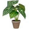 Bild von Mica Decorations Caladium Oreja De Elefante Künstliche Pflanze