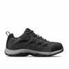 Bild von Schuhe Columbia Crestwood Grau 44