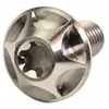 Bild von Silca Sicuro Titanium Flaschenhalter Schrauben 4 Einheiten Silber Silber One Size