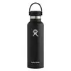 Bild von Standardflasche Hydro Flask mouth with stainless steel cap 21 oz Schwarz TU