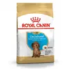 Bild von Royal Canin Dachshund Puppy 1.5kg, Welpe, Dackel, Reis, Gemüse, 1,5 kg