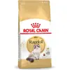 Bild von Royal Canin Ragdoll Adult, Adult, Ragdoll-Katze, 2 kg