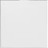 Bild von Legrand 0 996 71, Kunststoff, Weiß, IP41, Wand, IK04, 45 mm