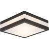 Bild von BRILLIANT Außenwand- und Deckenleuchte 29x29cm Matteo schwarz IP44 E27 40 Watt dimmbar g. f. Tropfenlampe