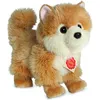 Bild von Teddy-Hermann Teddy Hermann Zwergspitz, 22 cm