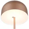 Bild von LED Stehleuchte, Touchdimmer, Akku, USB, Coffee, H 147 cm