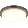 Bild von Trio 630369142 Bermejo LED Deckenleuchte 14W  30cm Anthrazit IP54 CCT einstellbare Lichtfarbe