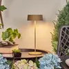 Bild von Outdoor LED Tischleuchte COCKTAIL Gold