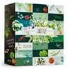 Bild von BOXILAND® Saatgut Adventskalender 2026   24 Sorten Gemüse Kräuter Obst