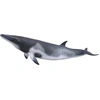 Bild von Collecta Zwergwal Minke Xl Figur Grau 3-6 Years Grau 3-6 Years