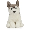 Bild von Keycraft Husky   Plüschhund   Ein hochwertiges, lehrreiches Spielzeug für Kinder