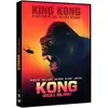 Bild von Kong: Skull Island   Der Film auf DVD von Warner Bros, 113 Minuten Laufzeit