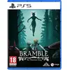 Bild von Merge Games Bramble: The Mountain King, PlayStation 5, M (Reif), Physische Medien