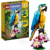 Bild von LEGO 31136 Creator 3in1 Exotischer Papagei, Frosch und Fisch Ostergeschenk Dschungel-Tier-Figuren Bauspielzeug, kreatives Osterdeko Spielzeug für Kinder ab 7 Jahren zu Ostern 2023