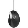 Bild von Rapoo EV200, rechts, Optisch, USB Typ-A, 1600 DPI, Schwarz, Silber