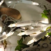 Bild von Star Trading P-LED, Leichte Dekorationskette, Weiß, IP20, 35 Glühbirne(n), LED, 2,1 W