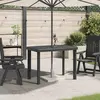 Bild von vidaXL Gartentisch Anthrazit 101x68x72 cm Kunststoff