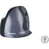 Bild von BakkerElkhuizen Evoluent D Large Wireless, rechts, Vertikale Ausführung, Laser, RF Wireless, 3200 DPI, Schwarz, Grau, Silber