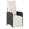 Bild von vidaXL Gartensessel Verstellbar mit Kissen Schwarz Poly Rattan