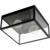 Bild von EGLO Deckenlampe Charterhouse, 2 flammige Vintage Deckenleuchte, Material: Stahl, Farbe: Schwarz, Glas: klar, Fassung: E27