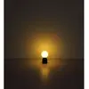 Bild von GLOBO 21006S JULSY Tischleuchte Metall schwarz matt, LED