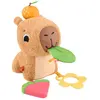 Bild von Fisher Price Reize Von Ausgestopften Capybaras