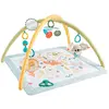 Bild von Fisher Price Erwecke Deine Sinne Fitnessstudio