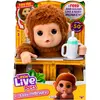Bild von Moose Little Live Pets Äffchen
